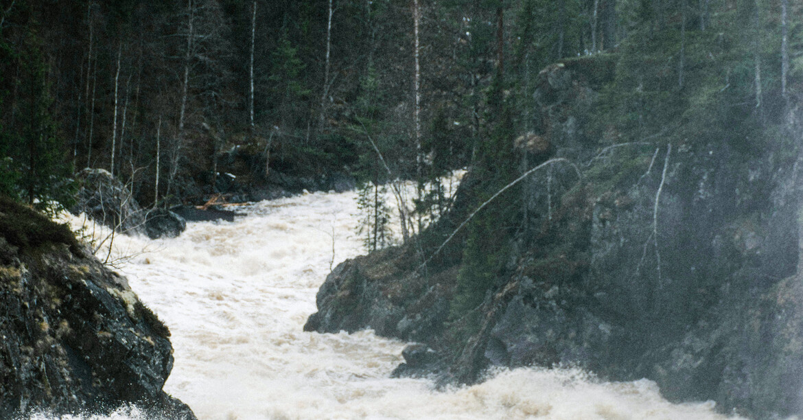 Eine reißender Gebirgsfluss bei Hochwasser, der sich durch eine Klamm schlängelt.